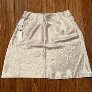 NWT Babaton slip mini skirt (size 6)